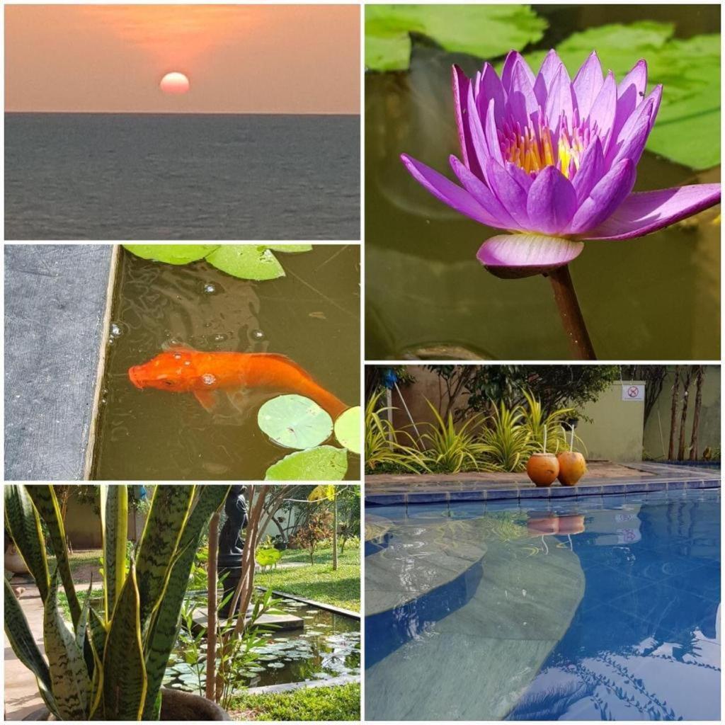 Solomon Beach Hotel Marawila Luaran gambar